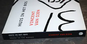 Vincent van Ojen - Huis in het bos kopen? Bied vanaf 40!