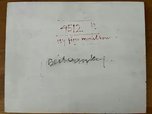 Bert van Kol - MY FIRST MOULTON kopen? Bied vanaf 100!