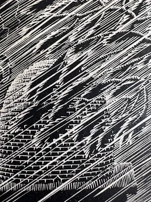 Maurits Cornelis Escher - Bijenkorf kopen? Bied vanaf 1200!