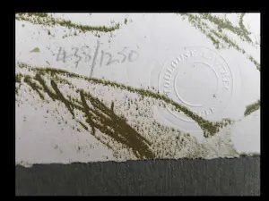 Henri de Toulouse-Lautrec - Elles - Portfolio met 11 litho`s in slipcase kopen? Bied vanaf 365!