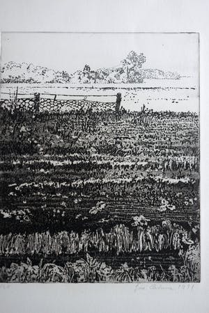 Jose Calsina - Het weiland kopen? Bied vanaf 50!