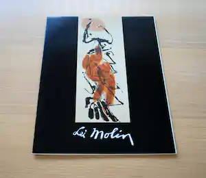 Lei Molin - Bijzondere uitgave met litho verkauft für € 35!