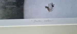 Ada Breedveld - Buiten spelen kopen? Bied vanaf 125!