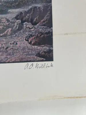 Carel Willink - Complete uitgave 6 zeefdrukken door G.I.N. Gallery kopen? Bied vanaf 50!