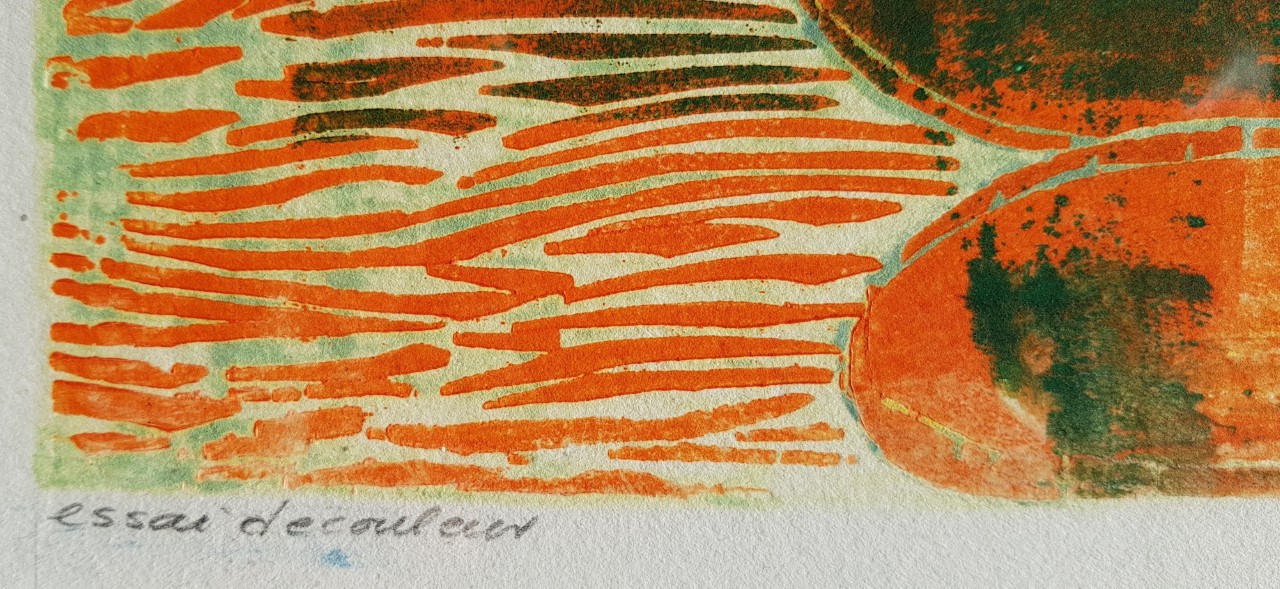 Niet of onleesbaar gesigneerd - houtsnede, 1998, incl lijst, ophangklaar kopen? Bied vanaf 1!