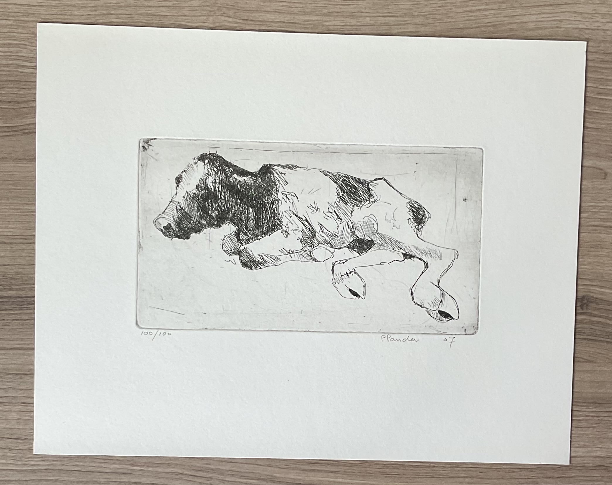 Pieter Pander (1962)