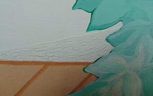 Robin Deirkauf - Twee soorten bladeren kopen? Bied vanaf 75!