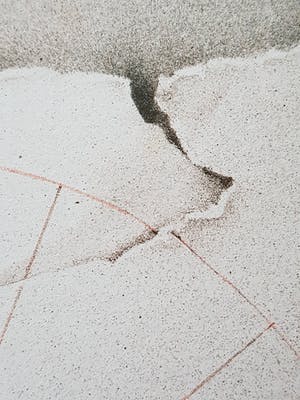 Poen de Wijs - La Modella kopen? Bied vanaf 10!