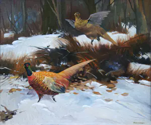 Piet van der Hem - Fazanten in de sneeuw kopen? Bied vanaf 1200!