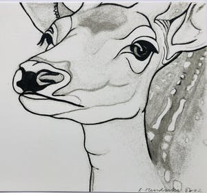 Rosemin Hendriks - box met 6 zeefdrukken PARK kopen? Bied vanaf 450!