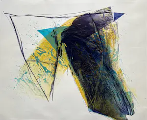 Hans Vredegoor - Contrapunt kopen? Bied vanaf 27!