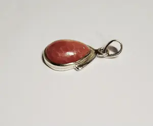 Nieuwe zilveren hanger met red stone Jaspis kopen? Bied vanaf 55!