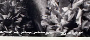 Paul Blanca - Foto: “Mama “ kopen? Bied vanaf 150!