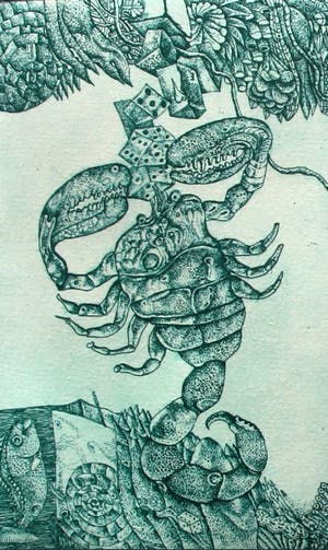 Ab Steenvoorden - Ets/aquatint van een schorpioen kopen? Bied vanaf 1!