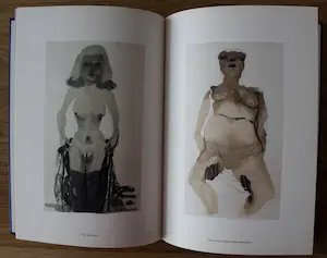 Marlene Dumas - boek: wet dreams kopen? Bied vanaf 45!