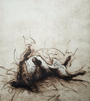 Ronald Tolman - Stervende hond, zeer zeldzame aquatint ets kopen? Bied vanaf 250!