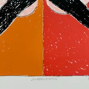 Petra Dolleman - Dubbelzinnig kopen? Bied vanaf 35!