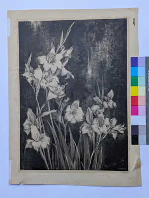 Henricus Rol - 1927-Bloemen kopen? Bied vanaf 50!