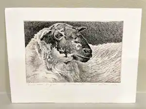 Han van Hagen - Schapenkop verkauft für € 35!