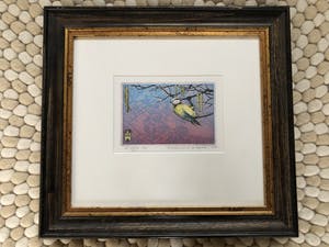 Rolf Weijburg - De pimpelmees & de hazelaar kopen? Bied vanaf 75!