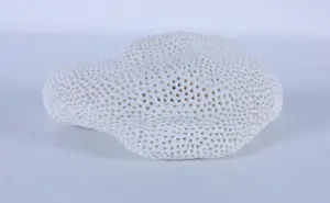 Kathja Smits - Porselein, Papegaai kopen? Bied vanaf 100!