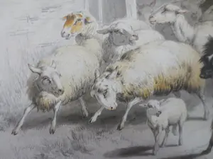 Henriette Ronner-Knip - (1821-1909) Schapen en Honden in Deuropening Schaapskooi kopen? Bied vanaf 250!