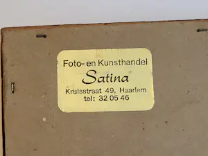 Tijmen Moll - Portret van een uil kopen? Bied vanaf 125!