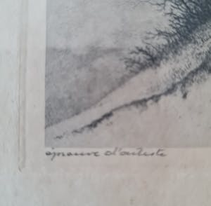 Dirk Harting - Duinlandschap - épreuve d’artiste kopen? Bied vanaf 25!