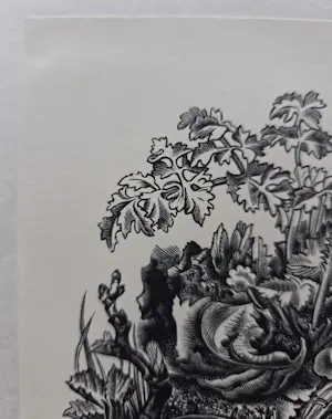 Dirk van Gelder - Paaswensch. Houtgravure. 1940. kopen? Bied vanaf 49!