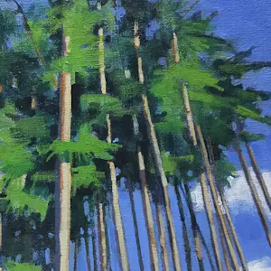 Willem Visser - Naaldbomenbos kopen? Bied vanaf 130!