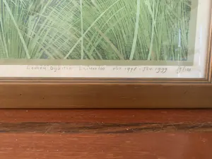 Siemen Dijkstra - Lheebroekerzand kopen? Bied vanaf 700!