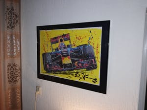 Eric-Jan Kremer - Max Verstappen Red Bull kopen? Bied vanaf 349!