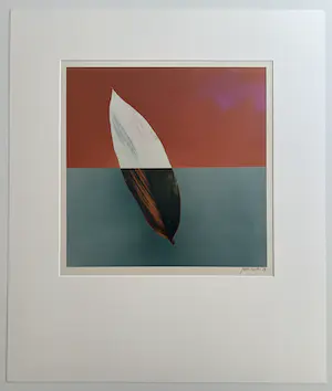 Jean Ruiter - handgesigneerde foto | 'Complemented & Opposed' kopen? Bied vanaf 1!