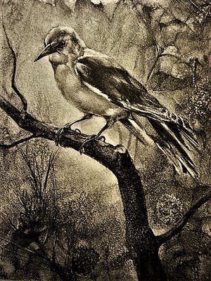 Niet of onleesbaar gesigneerd - Fraaie, in 1939 vervaardigde Lithografie - Specht op tak - gesigneerd kopen? Bied vanaf 1!