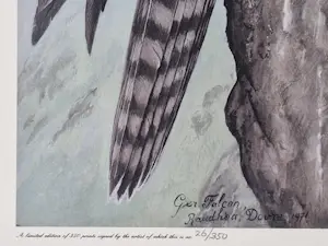 Hendrik Johannes Slijper - Fraaie offset druk "Giervalk" 1987 - oplage 350, handgesigneerd - GROOT! kopen? Bied vanaf 58!