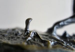 Niet of onleesbaar gesigneerd - Cowboy op steigerend paard met slang op grond - Imposant dynamisch beeld kopen? Bied vanaf 10!