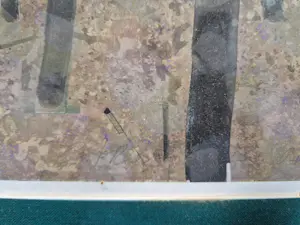 Adam Romaniuk - Berkenbos kopen? Bied vanaf 50!