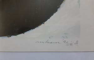 Thomas Ankum - Halve bollen kopen? Bied vanaf 50!