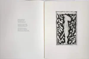 Lucebert - Ets: Paradijs & gedicht (1981) kopen? Bied vanaf 150!