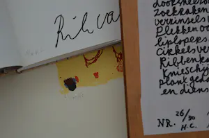 Rik van Iersel - Between seeing and saying kopen? Bied vanaf 100!