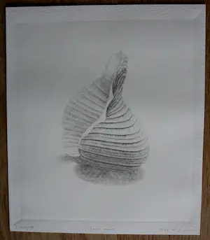 Gerard van Rooy - Ets: Rapa rapa - 1980 kopen? Bied vanaf 55!