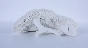 Kathja Smits - Porselein, Papegaai kopen? Bied vanaf 100!