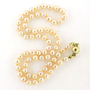 14k geelgouden slot aan een parelcollier – 22.1 gram – 45 cm kopen? Bied vanaf 160!