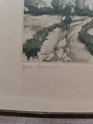 Roger Hebbelinck - Serinite kopen? Bied vanaf 45!