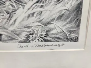 Aart van Dobbenburgh - babyschoenen kopen? Bied vanaf 20!