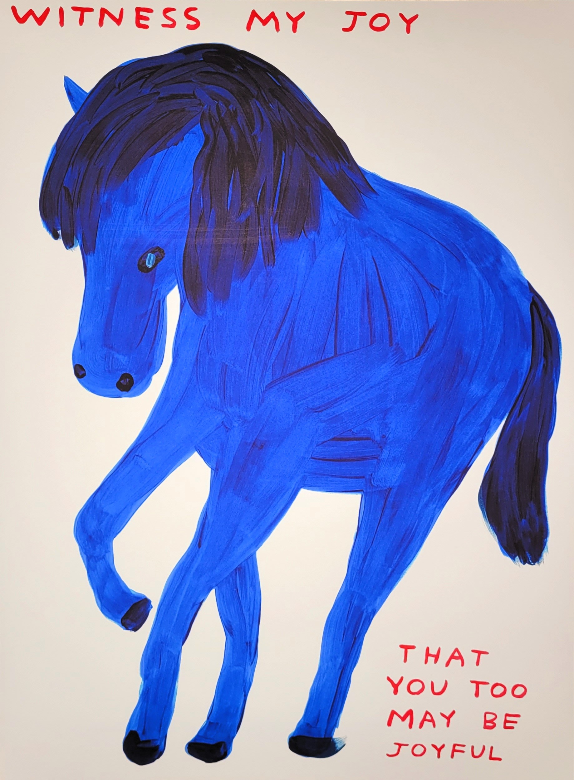 David Shrigley - Witness My Joy kaufen? Bieten Sie von 1750!