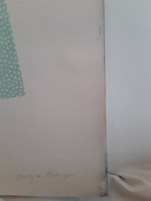 Woody van Amen - Cavellini 1914-2014,Campo di tutti capi kopen? Bied vanaf 10!