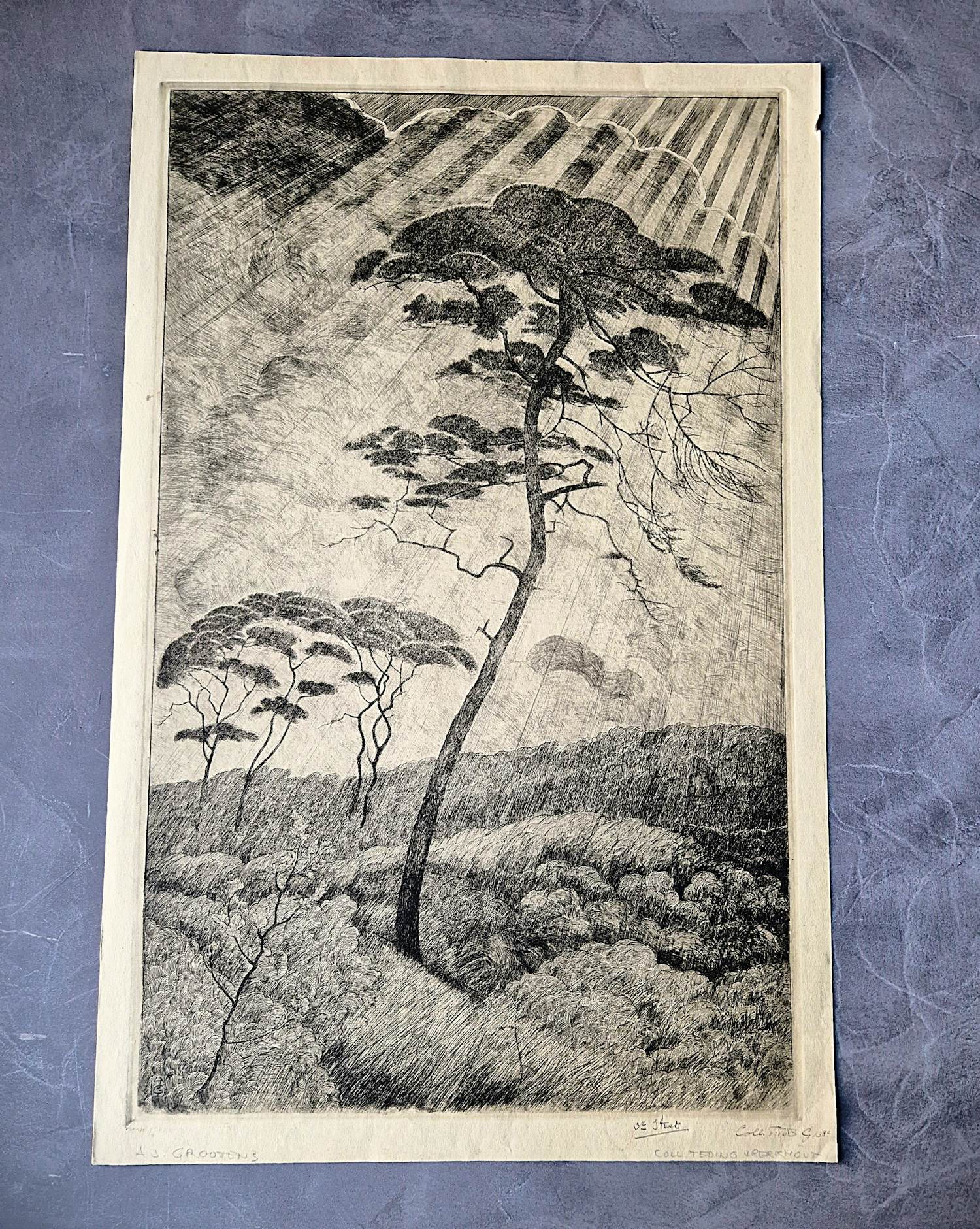 Adrianus Johannes Grootens - Nieuwe zakelijkheid Ets "paraplu bomen Afrika" 3e staat unica - gesigneerd kopen? Bied vanaf 34!