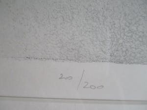 Mart Kempers - Ingelijste litho kopen? Bied vanaf 70!