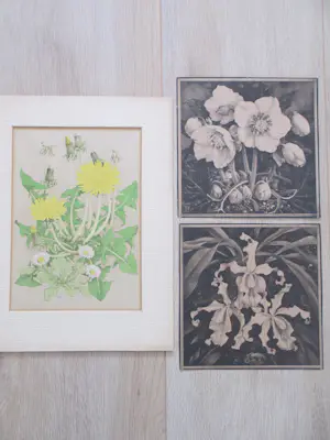 Jan Voerman (jr.) - Paardebloemen en Anemonen&Lelies - Litho's kaufen? Bieten Sie von 10!